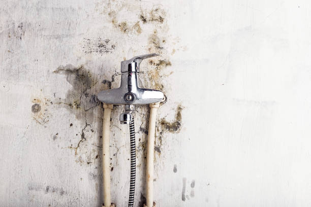 Water Damage Restoration in Tontitown, AR